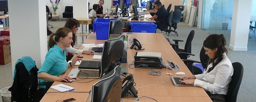 staff working at computers in office
